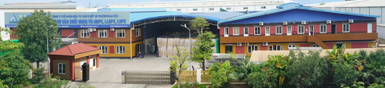Lam sóng gỗ nhựa