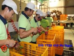 Rổ nhựa các loại đựng hàng gia công, may mặc Lhe 0967788450 Ngọc