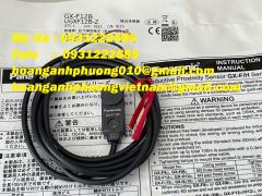 GX-F12B | cảm biến tiệm cận panasonic | sensor hình chữ nhật